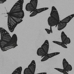 Meet your Posher, Valeria